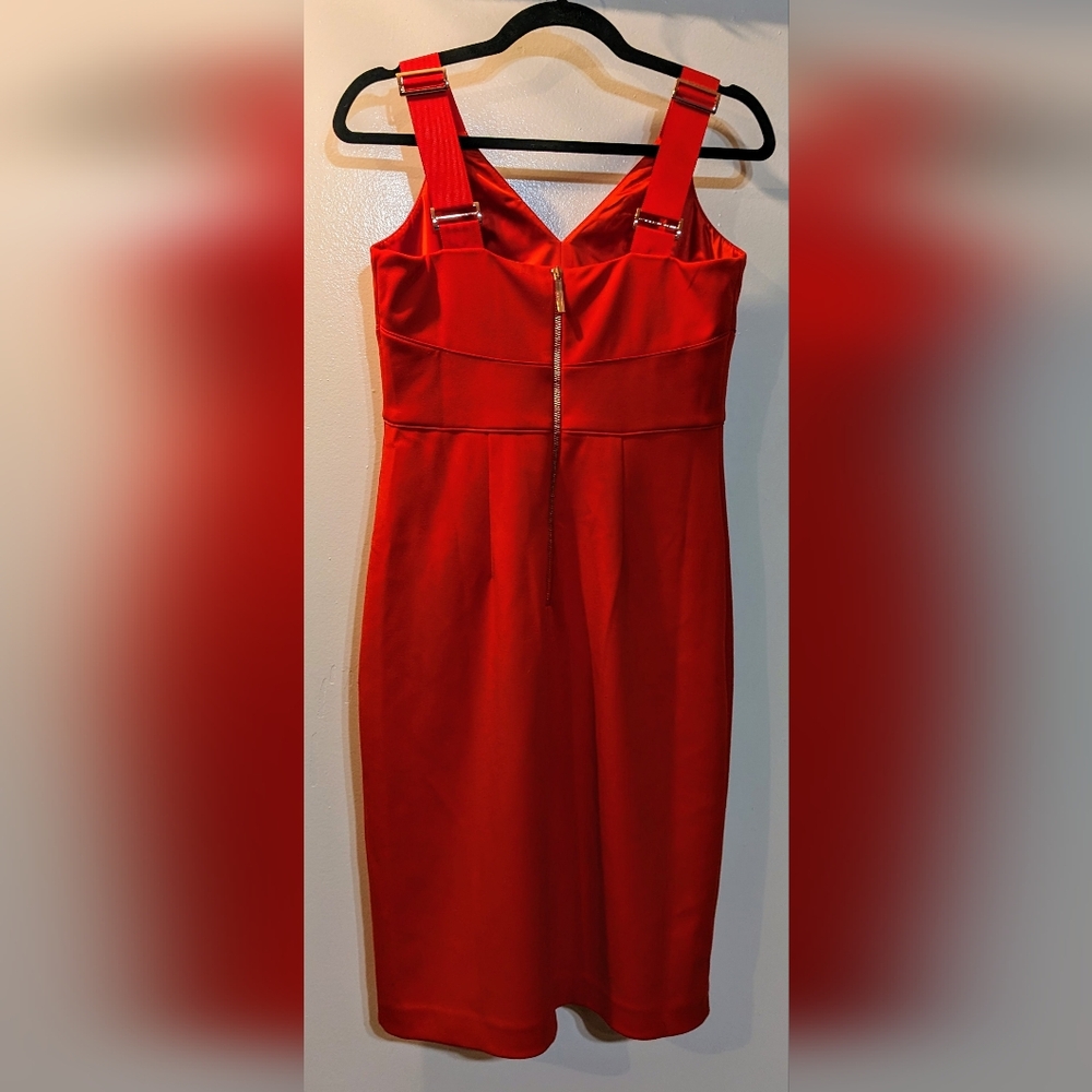 Ted Baker London Trixxie Panel Body-Con Dress Size 2 - RED - Worn Twice - Picture 3 of 5